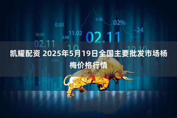 凯耀配资 2025年5月19日全国主要批发市场杨梅价格行情