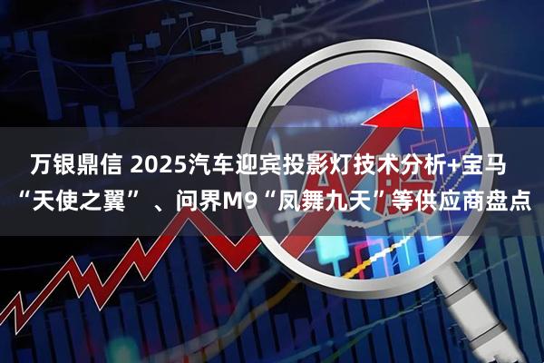 万银鼎信 2025汽车迎宾投影灯技术分析+宝马 “天使之翼” 、问界M9“凤舞九天”等供应商盘点