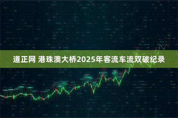 道正网 港珠澳大桥2025年客流车流双破纪录