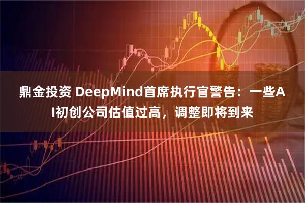 鼎金投资 DeepMind首席执行官警告：一些AI初创公司估值过高，调整即将到来