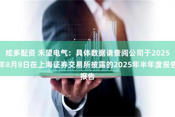 炫多配资 禾望电气：具体数据请查阅公司于2025年8月8日在上海证券交易所披露的2025年半年度报告
